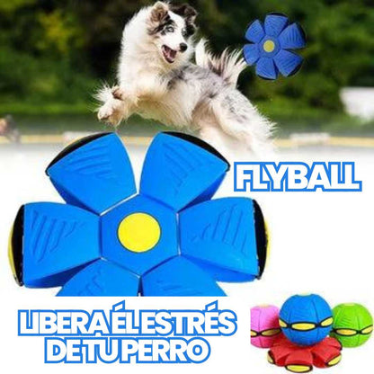 FlyBall® - PELOTA VOLADORA LIBERA EL ESTRÉS DE TU PERRO